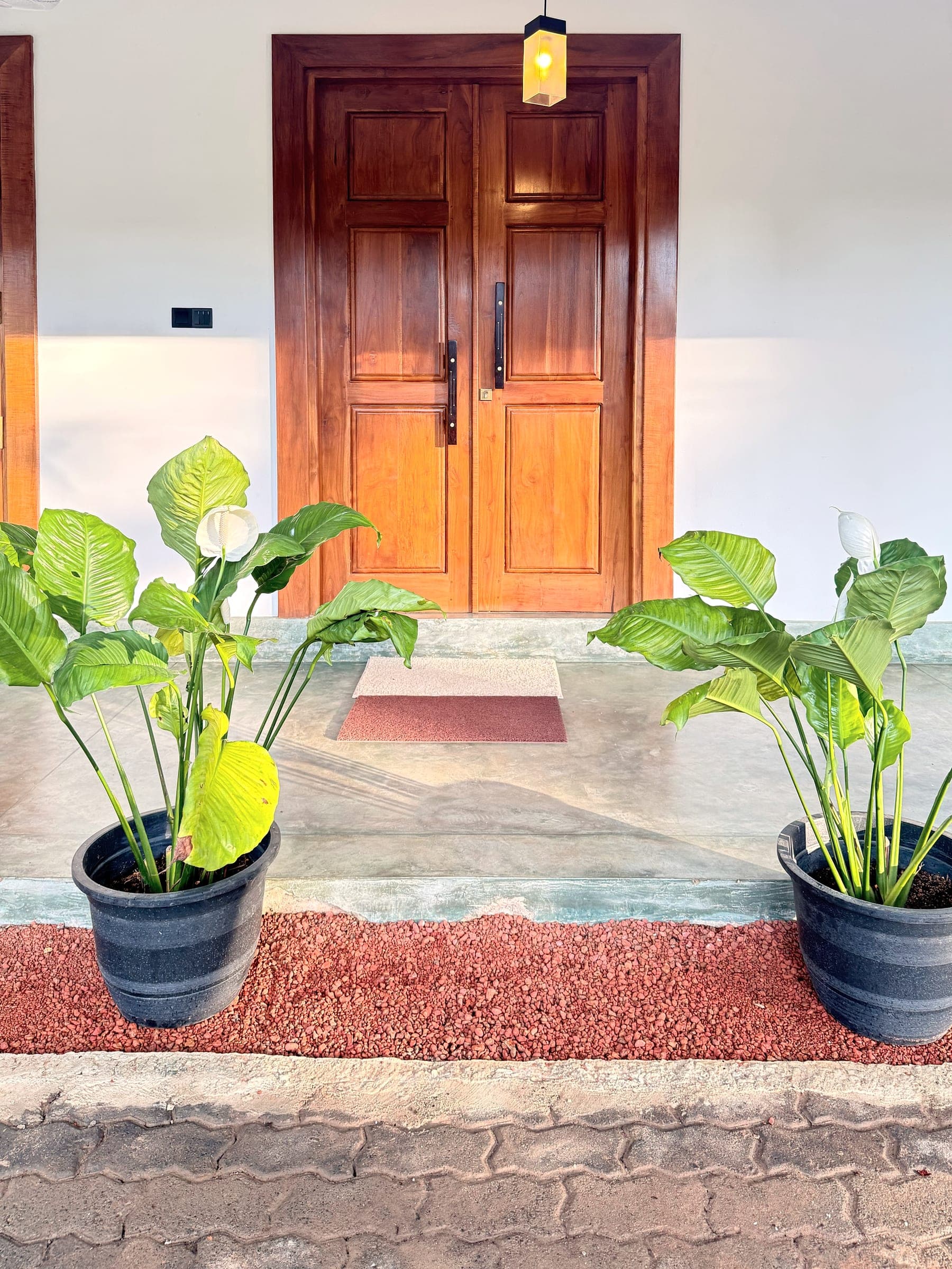 Teak double doors in the morning sun, with peace lilies either side