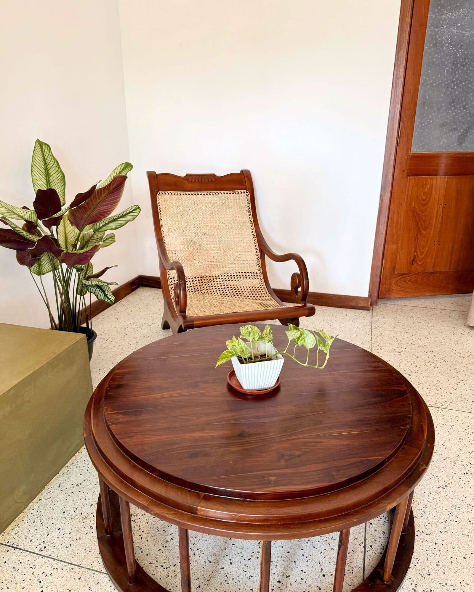 Cane planter's chair, a calathea and a round teak table with a potted pothos in the Karutha Colomban sitting room
