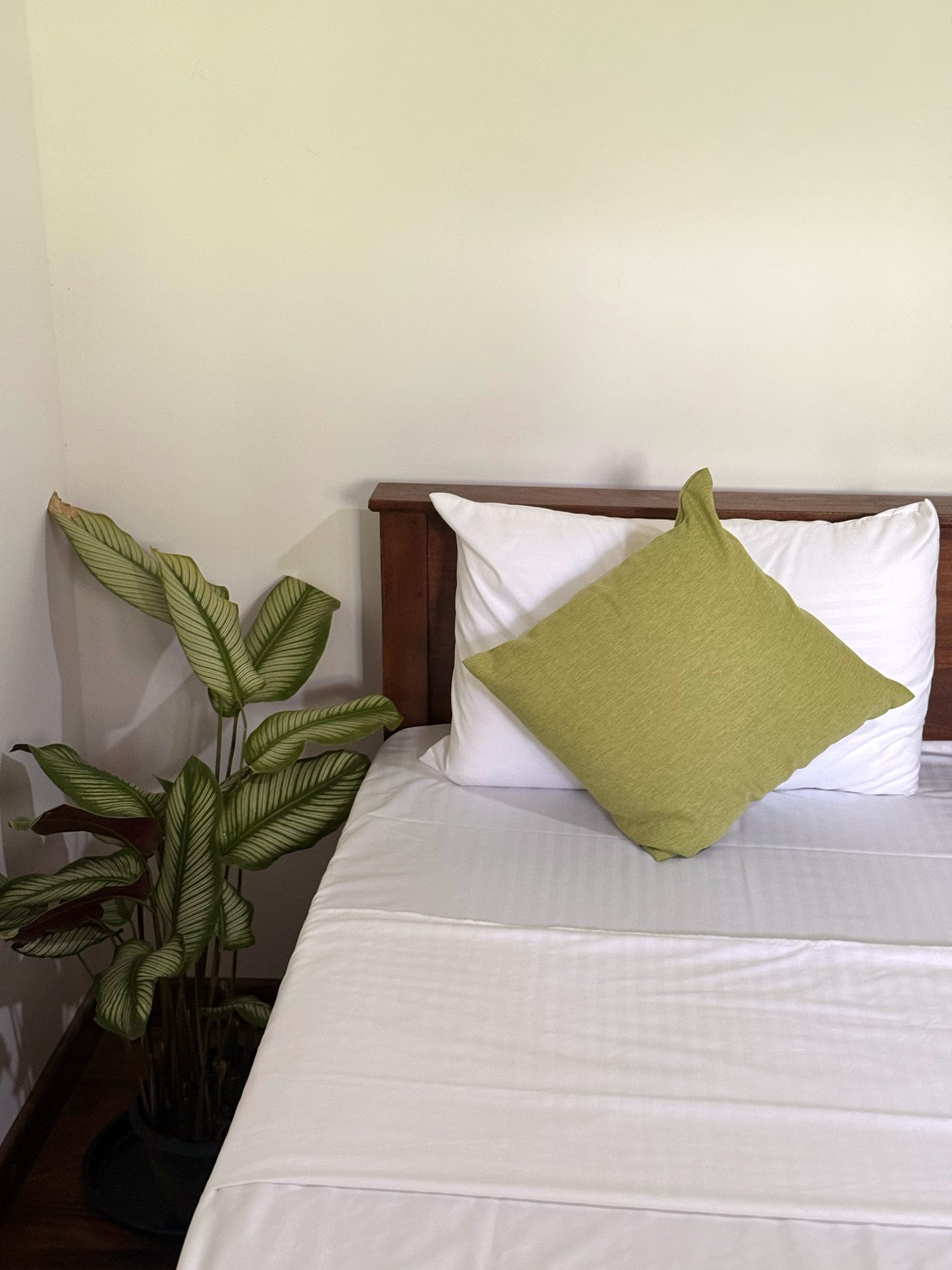 Lime-green cushion on white pillows, with a calathea beside the loft bed