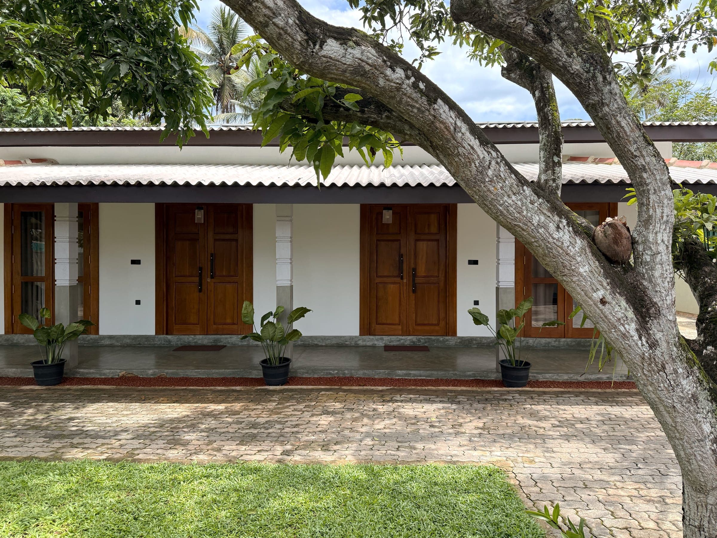 A mango tree's branches reaching across the front of the villas