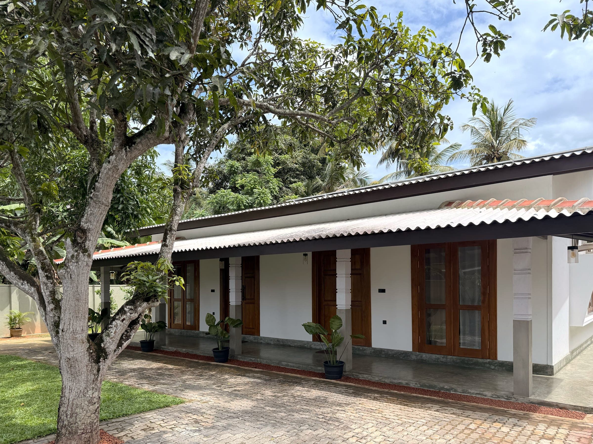 Mango tree on the lawn beside the long veranda of the villas, coconut palms beyond